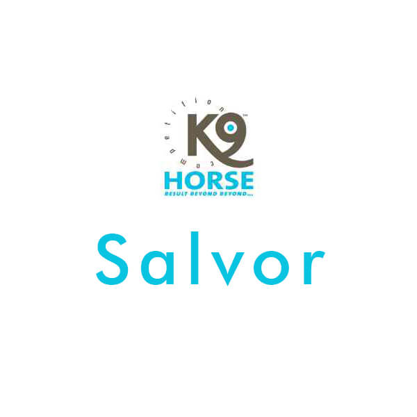 Salvor