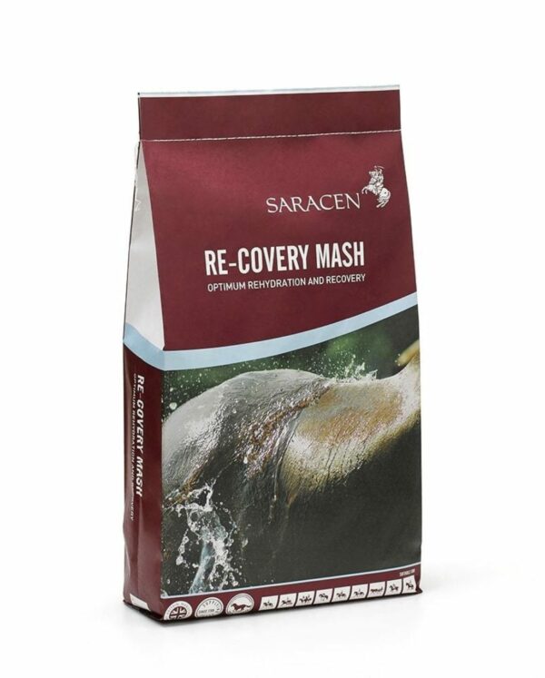 RE-COVERY MASH